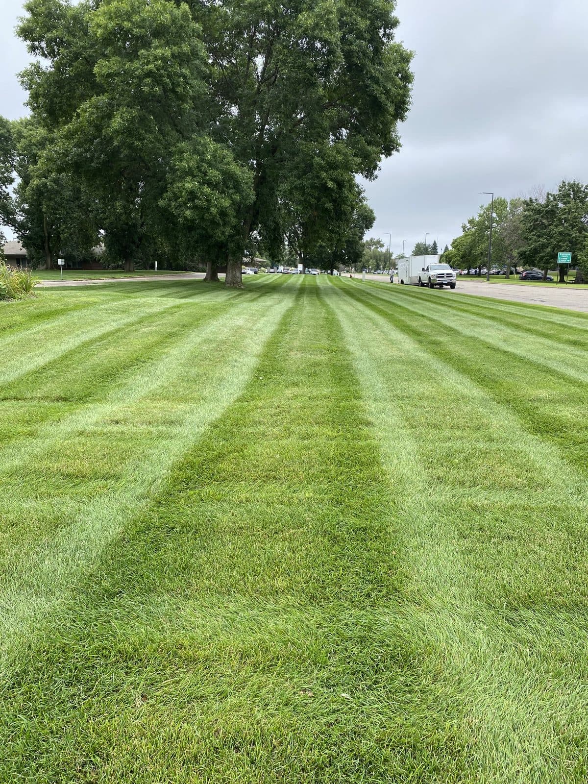 Striped lawn after a weekly mow