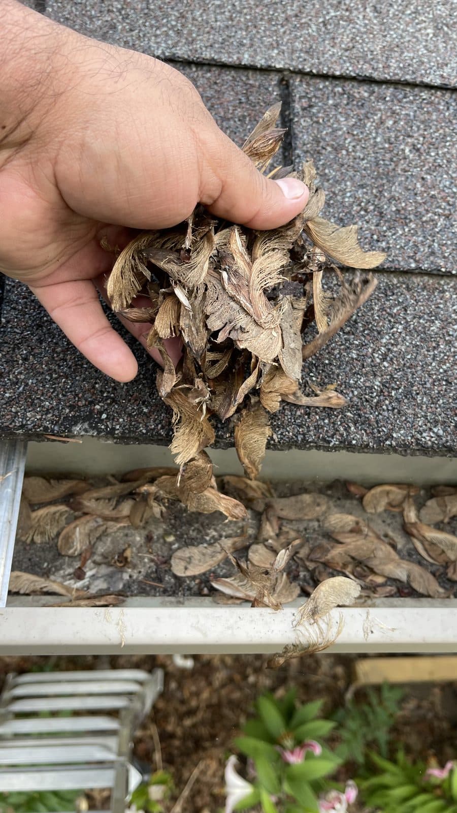 Pulling debris out of a gutter by hand